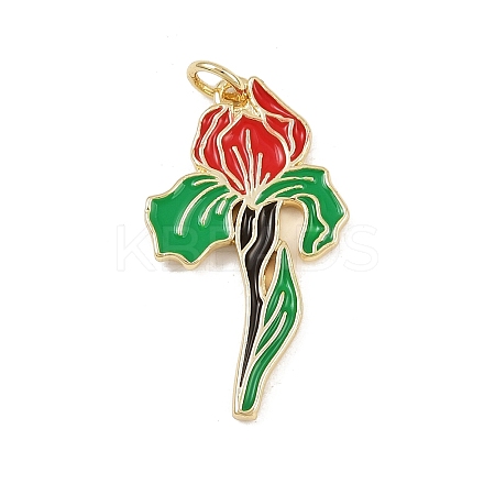 Brass Enamel Pendants KK-P323-02B-G-1