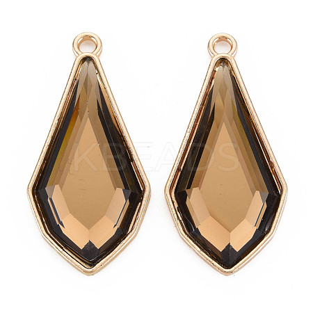 Faceted Glass Pendants PALLOY-N167-10-01LG-RS-1