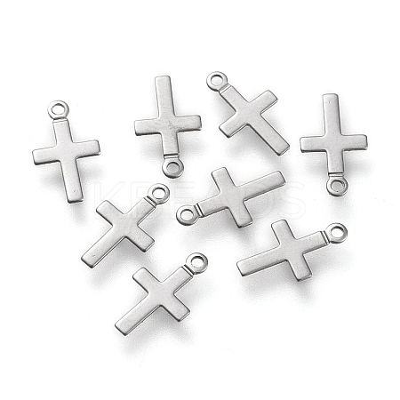 Non-Tarnish 304 Stainless Steel Charms LS-STAS-K195-15P-1