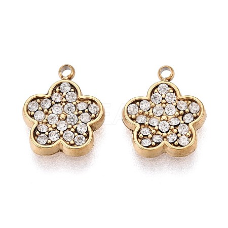 304 Stainless Steel Micro Pave Cubic Zirconia Charms STAS-N115-50G-1