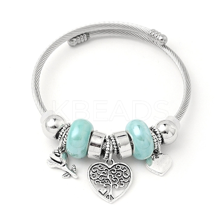 European Style Stainless Steel & Alloy Charm Bangles for Women PW-WG243C0-06-1