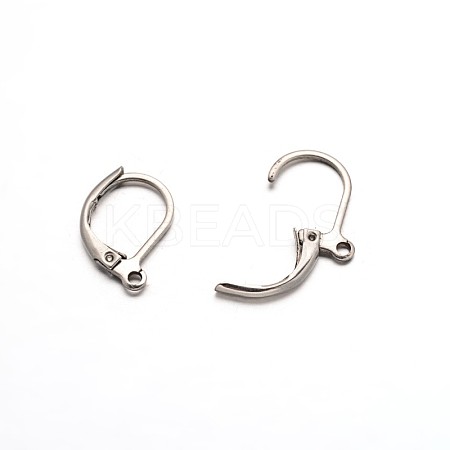 Tarnish Resistant 304 Stainless Steel Leverback Earring Findings LS-STAS-L153-05-1