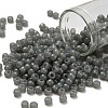 TOHO 6/0 Round Beads SEED-XTR06-1150-1