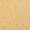 TOHO Round Seed Beads SEED-XTR08-0903-2