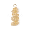 10Pcs 5 Colors 12 Constellation Natural Citrine & Golden Sheen Obsidian & Rose Quartz & Gold Rutilated Quartz & South Red Agate Pendants PALLOY-JF02839-06-3