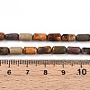 Natural Picasso Jasper/Polychrome Jasper Beads Strands G-N346-01A-05-5