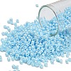 TOHO 8/0 Round Beads X-SEED-TR08-0124-1