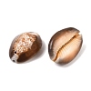 Natural Shell Oval Beads LS-BSHE-O007-44-4