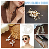 1 Strand Natural Cultured Freshwater Pearl Beads Strands PEAR-PH0001-17-6