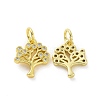 Brass Micro Pave Cubic Zirconia Charms KK-E068-VF063-1