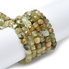 Natural Green Garnet Beads Strands G-NH0044-A01-2