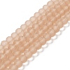 Transparent Glass Beads Strands EGLA-A034-T2mm-MD20-1