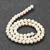 Nrtutal Magnesite Beads Strands G-L575-01B-3