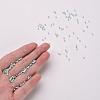 11/0 FGB Grade A Ceylon Glass Seed Beads X-SEED-N001-B-0487-4