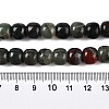 Natural African Bloodstone Beads Strands G-T138-150-5