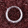 FGB 11/0 Grade A Glass Seed Beads X-SEED-S030-1212-3