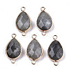 Natural Labradorite Links Connectors G-T131-49F-1