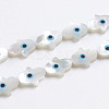 Natural White Shell Mother of Pearl Shell Beads SSHEL-L017-005B-1