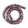 Natural Lepidolite Beads Strands G-F808-B01-01-3