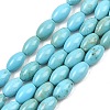 Natural Magnesite Beads Strands G-Z143-B01-01-2