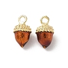 Alloy Enamel Charms FIND-C074-02A-1