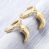 Chili Brass Hoop Earrings EJEW-Q015-17G-1