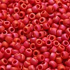TOHO 6/0 Round Beads X-SEED-TR06-0405F-4