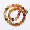 Natural Peacock Agate Beads Strands X-G-G444-10mm-02-2