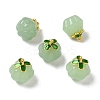 Glass Charms GLAA-P072-04G-06-1
