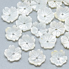 Natural White Shell Beads SSHEL-S260-002-1
