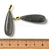 Natural Labradorite Pendants G-Q192-07G-06-3