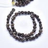 Shell Bead Strands SSHEL-P015-01C-8mm-2