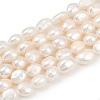 Natural Cultured Freshwater Pearl Beads Strands PEAR-P064-20N-01A-2