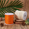 Craftdady 2Rolls 2 Colors Earthy Colored Jute Cord OCOR-CD0001-06-5