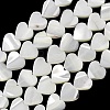 Natural Trochid Shell/Trochus Shell Beads Strands SH-CBA2978-19B-1