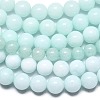 Natural Malaysia Jade Beads Strands G-L645-A01-6mm-31-4