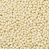 6/0 Glass Seed Beads X1-SEED-L011-08A-16-3