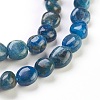 Natural Apatite Beads Strands G-F575-07-2
