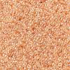 MIYUKI Round Rocailles Beads X-SEED-G009-RR0369-2