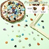 210g 14 Styles Natural Mixed Gemstone Chip Beads and 15g Opaque Glass Chip Beads Kits G-YW0002-37-3