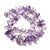 Natural Amethyst Beads Strands G-C179-D01-02-3
