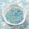 Transparent Colours Glass Seed Beads SEED-H003-01I-2
