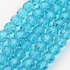 Transparent Glass Bead Strands GLAA-G013-10mm-49-1