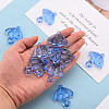 Transparent Acrylic Pendants TACR-T024-01B-940-5