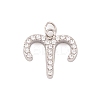 316 Stainless Steel Micro Pave Cubic Zirconia Pendants STAS-K284-01A-P-1