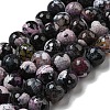Faceted Natural Fire Crackle Agate Beads Strands G-F447-12mm-N15-2