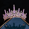 Alloy Rhinestone Hair Bands PW-WG6C49D-07-1