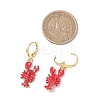 2 Pairs Zinc Alloy Leverback Earrings EJEW-JE06911-3