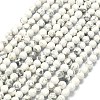Natural Howlite Beads Strands G-A260-A25-01-2
