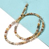 Natural Crazy Lace Agate Beads Strands G-G085-B39-01-2